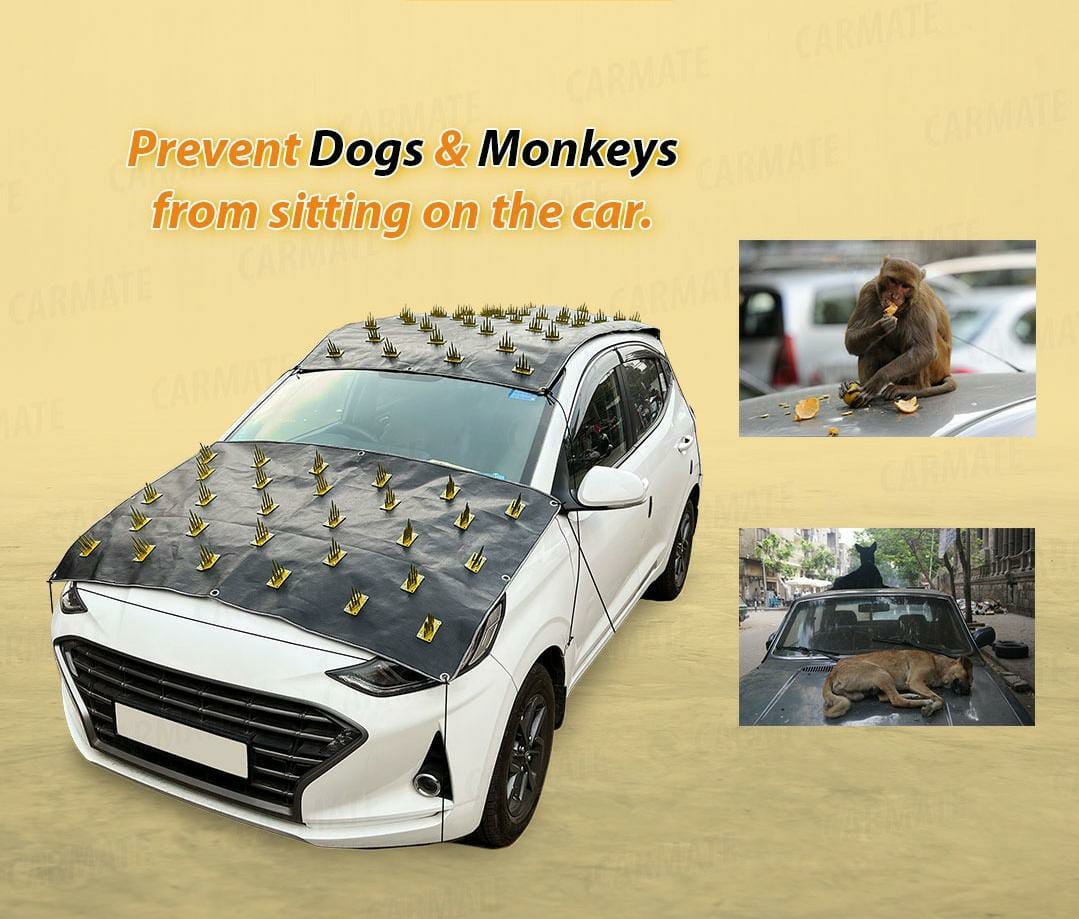 Car Roof Protection From Dogs